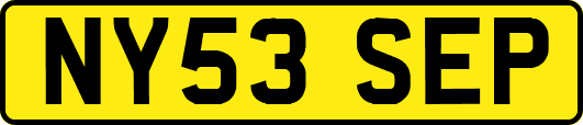 NY53SEP