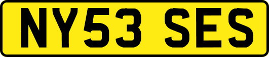NY53SES