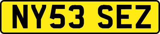 NY53SEZ