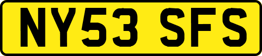 NY53SFS