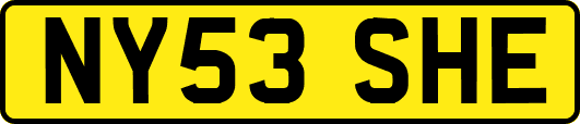 NY53SHE