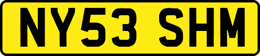 NY53SHM