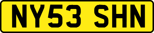 NY53SHN