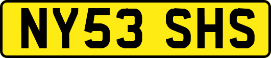 NY53SHS