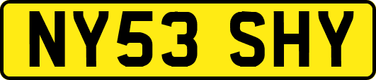 NY53SHY