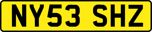 NY53SHZ