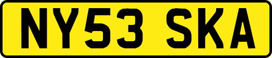 NY53SKA