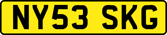 NY53SKG