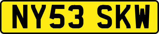 NY53SKW