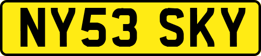 NY53SKY