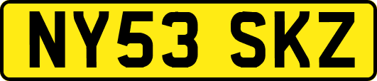 NY53SKZ