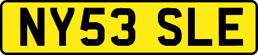 NY53SLE