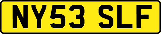 NY53SLF