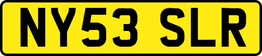 NY53SLR