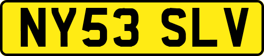 NY53SLV