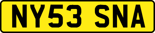NY53SNA