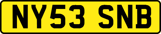 NY53SNB