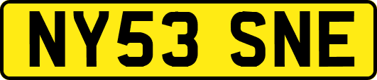 NY53SNE