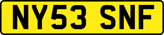 NY53SNF