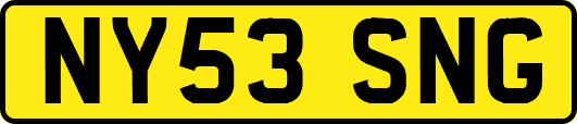 NY53SNG