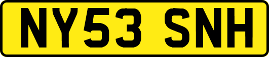 NY53SNH