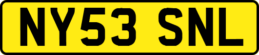 NY53SNL