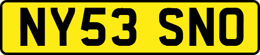NY53SNO