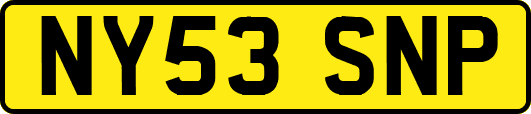 NY53SNP