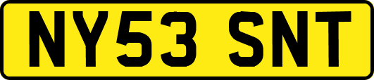 NY53SNT