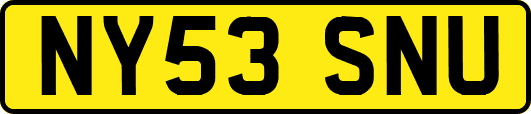 NY53SNU
