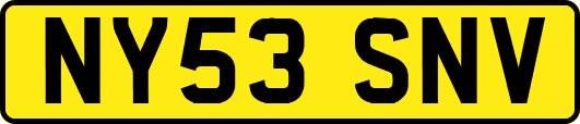 NY53SNV