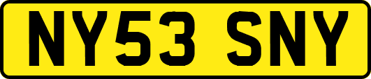 NY53SNY