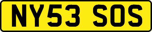 NY53SOS