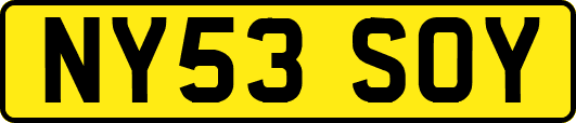 NY53SOY