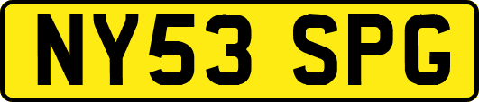 NY53SPG