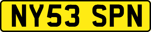 NY53SPN