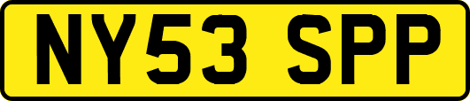 NY53SPP