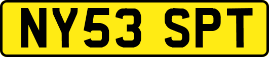NY53SPT