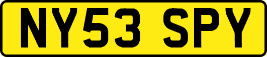 NY53SPY