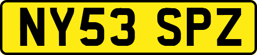 NY53SPZ