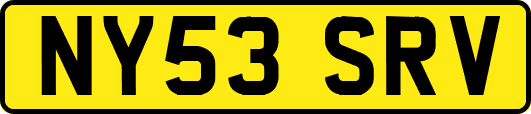 NY53SRV