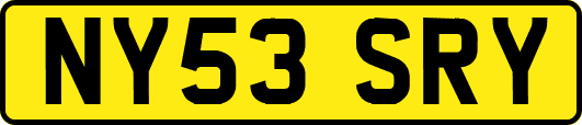 NY53SRY