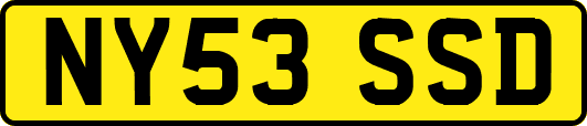 NY53SSD