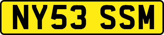 NY53SSM