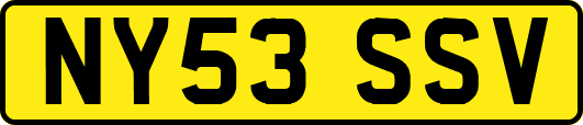 NY53SSV