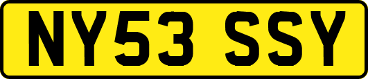 NY53SSY
