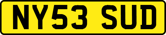 NY53SUD