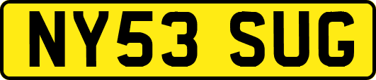 NY53SUG