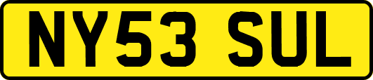 NY53SUL