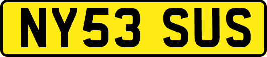NY53SUS